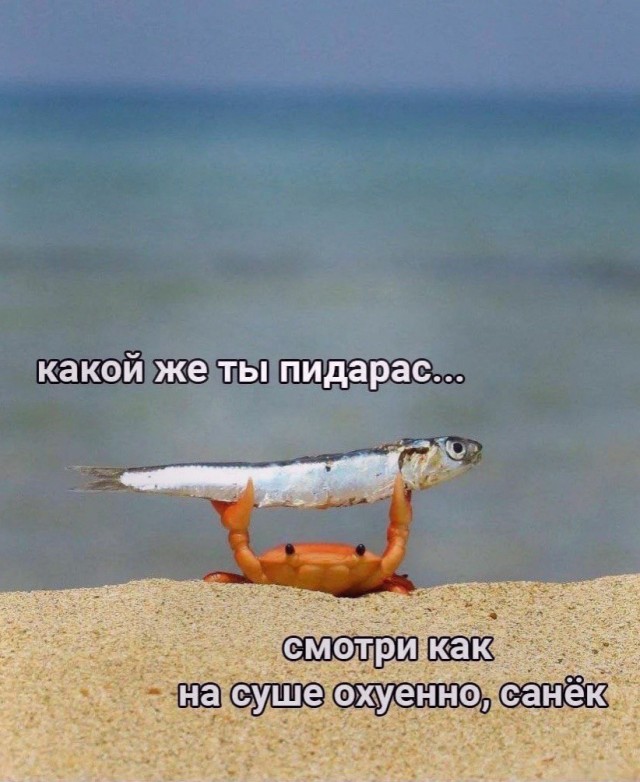 С Новым Годом, деграданты