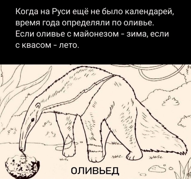 Картинки от Scodero