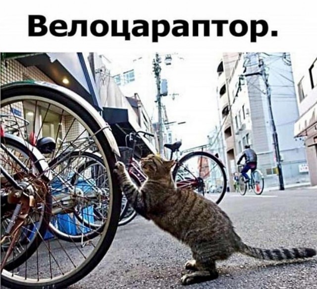 Тлидцать тли от 12 февлаля