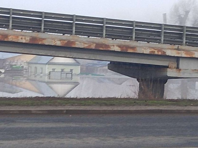 В Оренбурге уровень воды в реке Урал вырос до 872 сантиметров