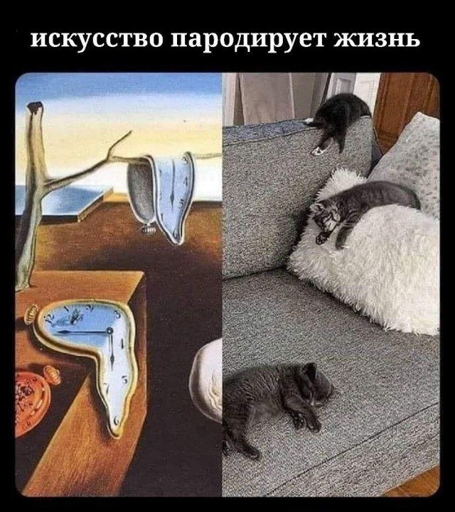 Весёлый полтишок 05.05.24