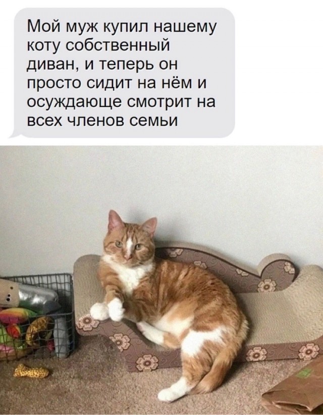 Завалялось тут случайно немного забавных картинок