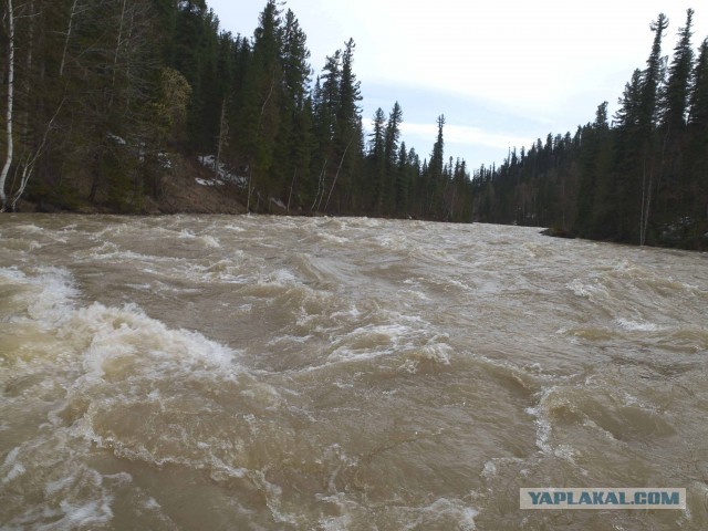 Сплав на катамаранах