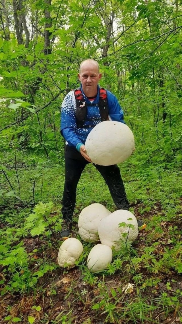 Тихий охотник