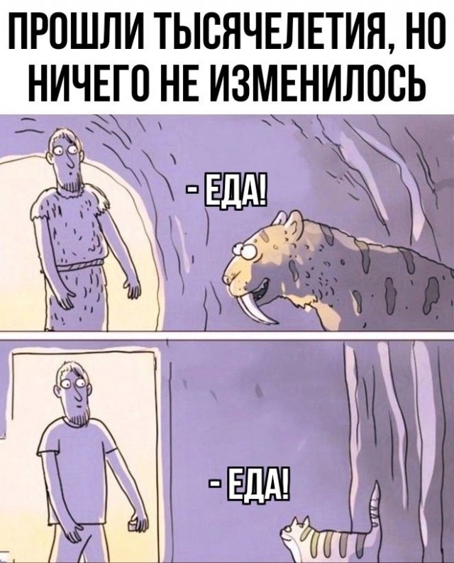 Так себе картинки 22.08.24