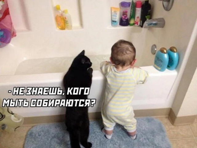 Бояны