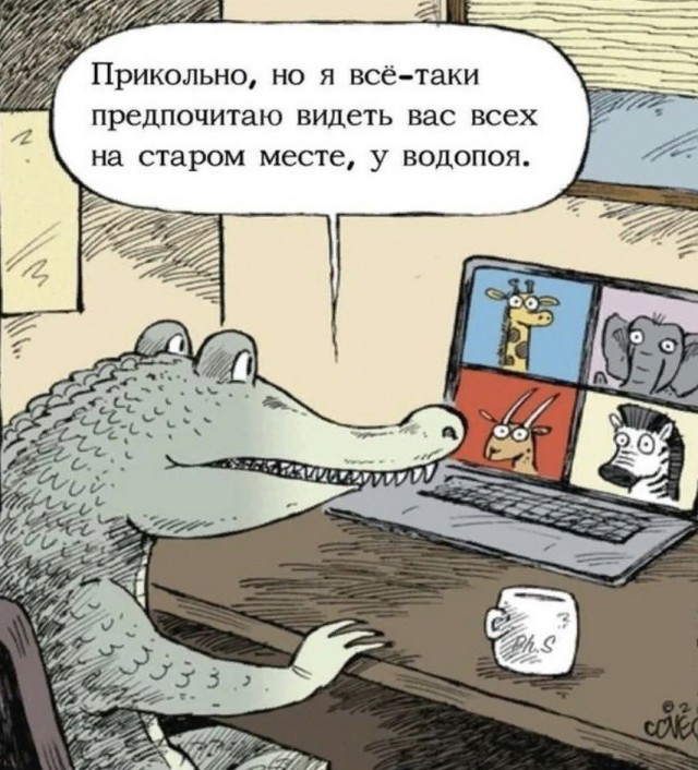 Так себе картинки 21.02.25