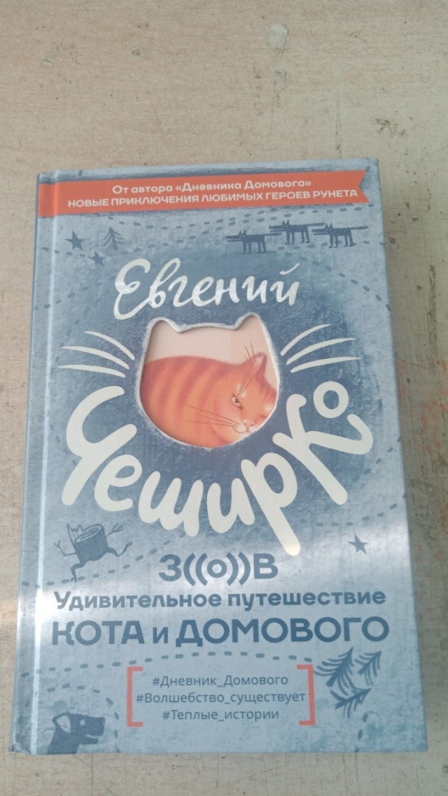 Новые приключения Кота и Домового