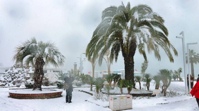 В Москве сейчас меньше снега, чем в Сочи