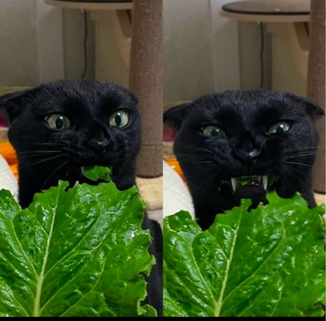 Нужна ли зелень?