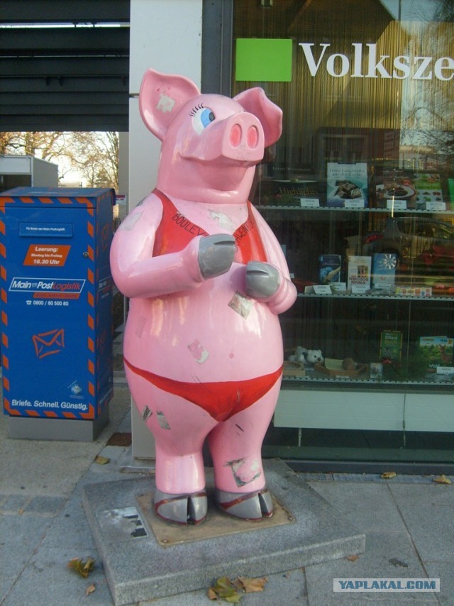 В Германию на сертификацию.