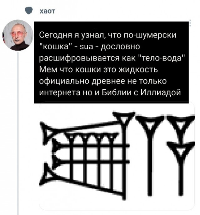 Картинки разные с надписями и без