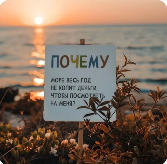 Так себе картинки 18.07.25