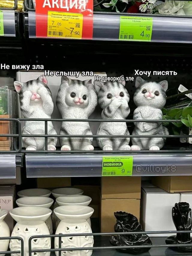 Картинки для деградации-6 (разной степени свежести)