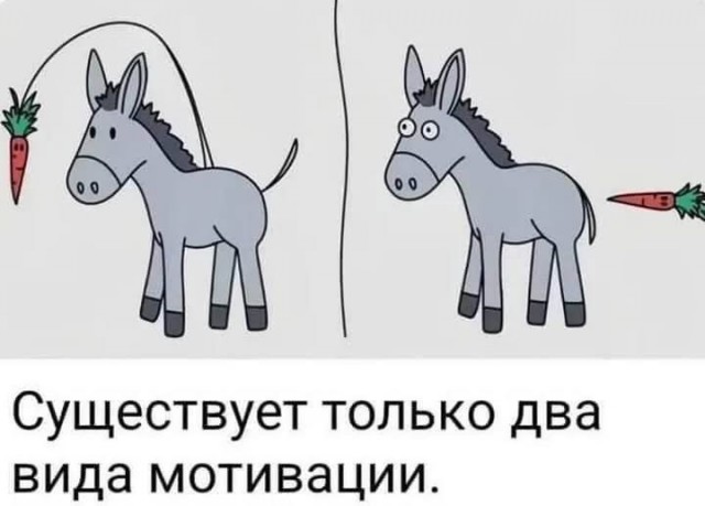 Веселое настроение в картинках (05.10.2025)