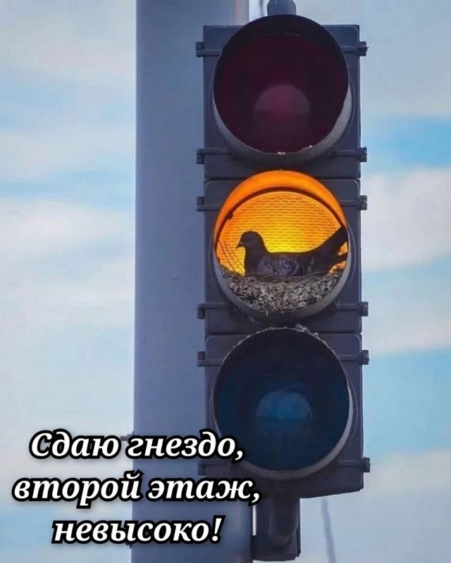 Так себе картинки 19.11.25