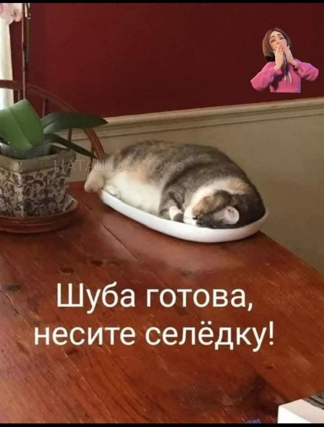 Маленькая пятница 24.12