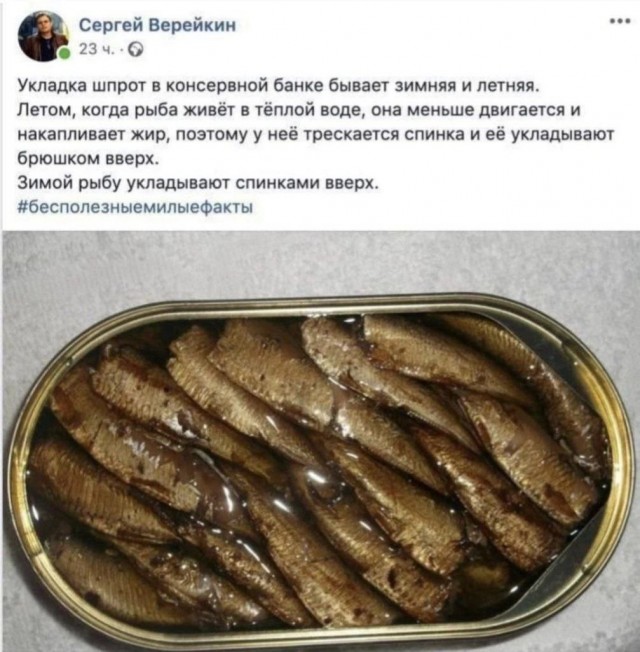 Картинки на кануне Рождества.