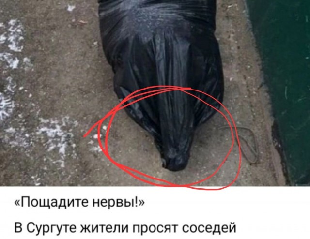 Возвращение мумии