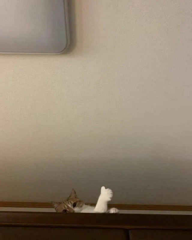 Максимально *зачёркнуто*