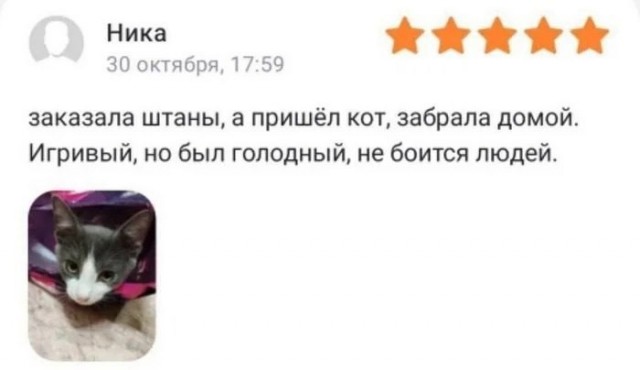Отзывы с маркетплейсов из Сети
