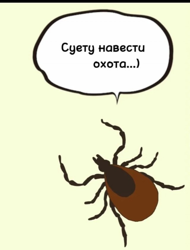 Клещ неделю прожил у россиянина в з@днице
