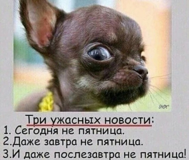 Понедельника картинки