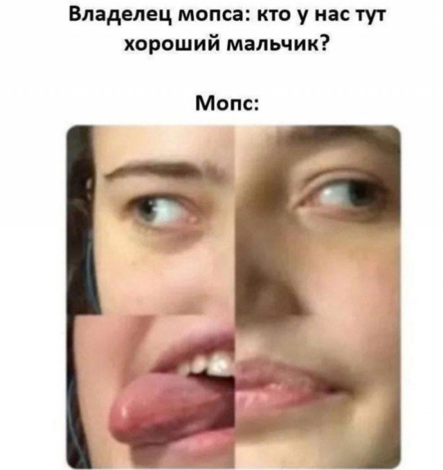 Веселое настроение в картинках (30.04.2026)