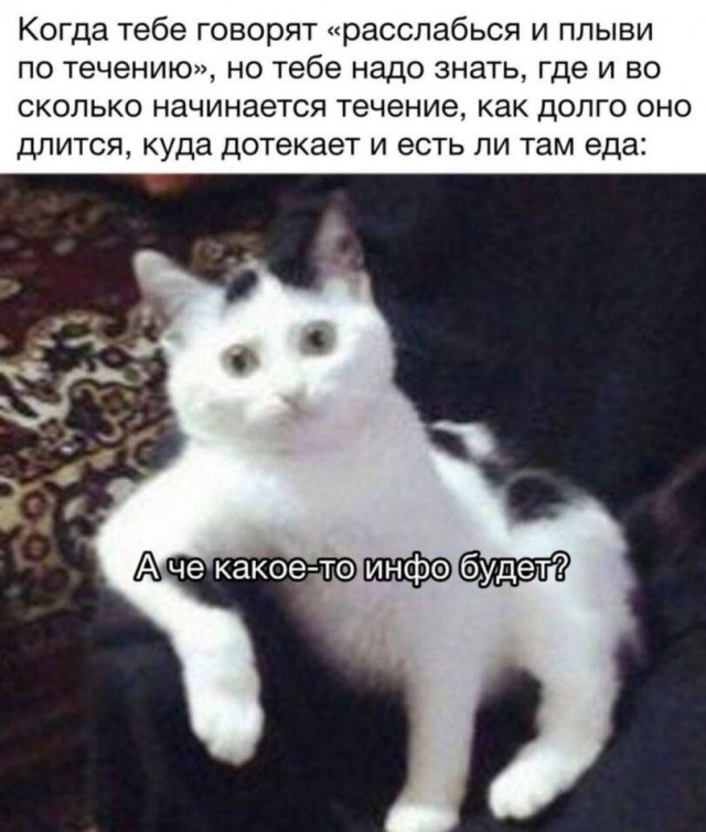 Картинки для деградации 289 (разной степени свежести)