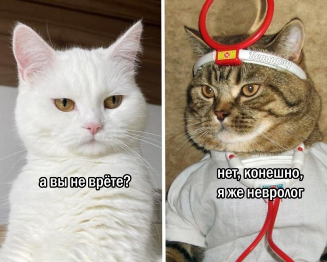 Так себе картинки 25.10.26