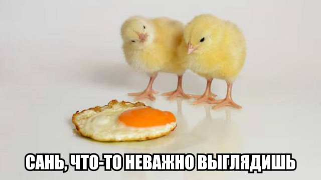 Яйца смажут маслом, чтобы сохранить их как можно дольше