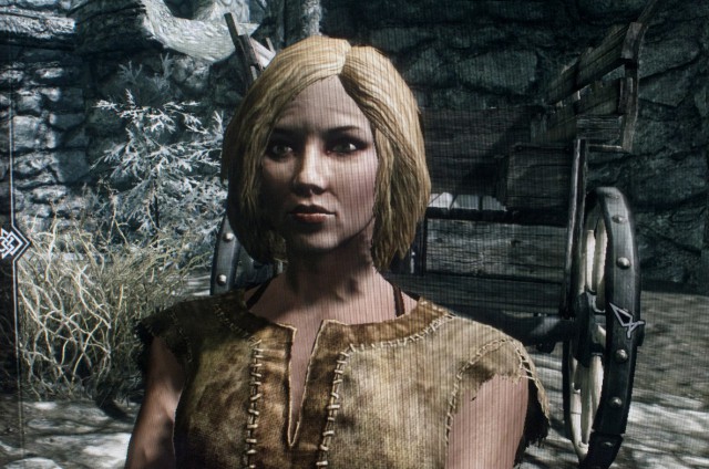 The Elder Scrolls V Skyrim