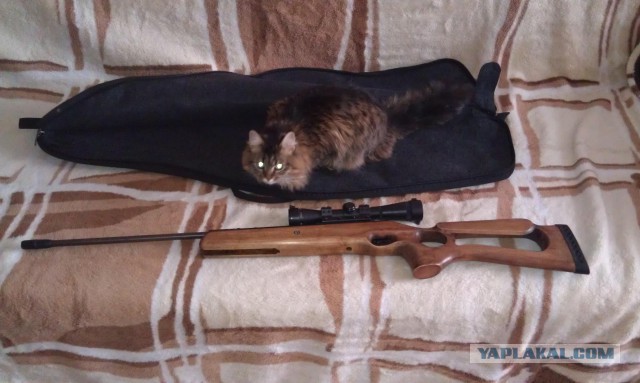 Небольшое увлечение