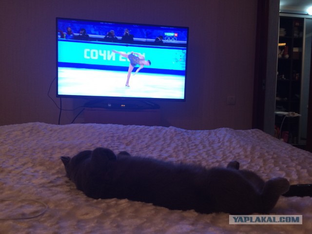 Два дня на Олимпиаде