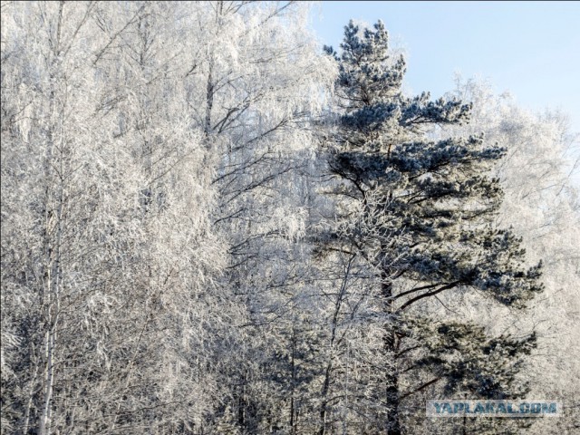 Ура, получил ! =)