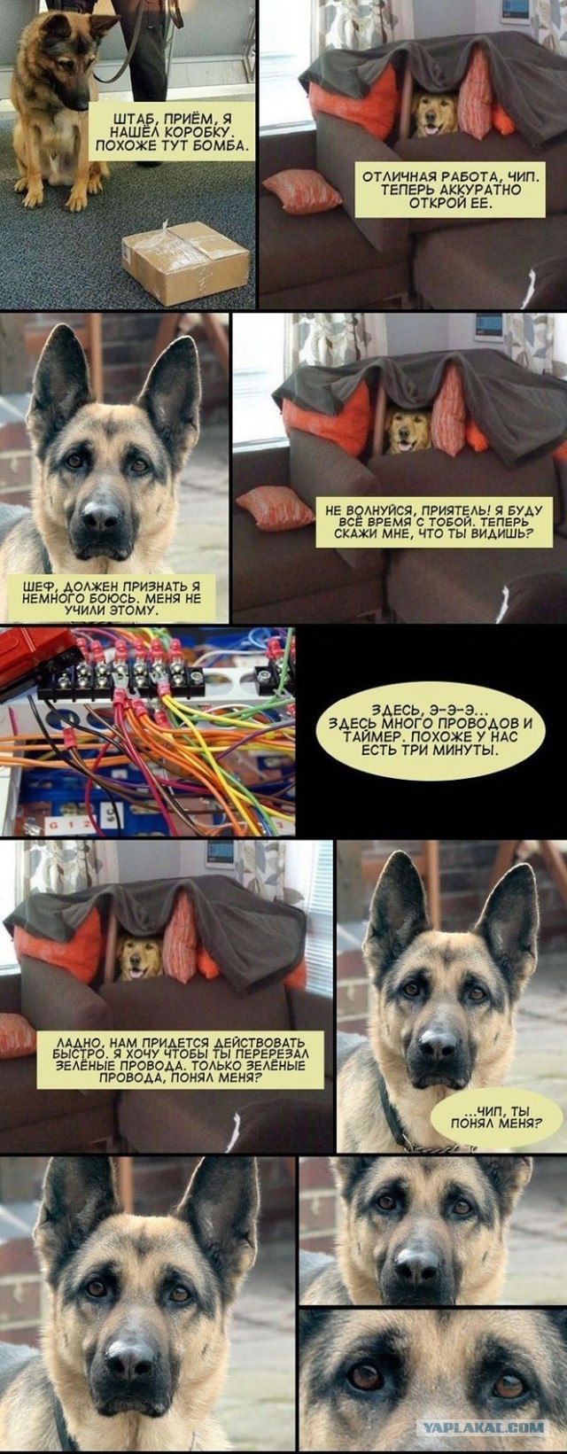 Смешные картинки и комментарии