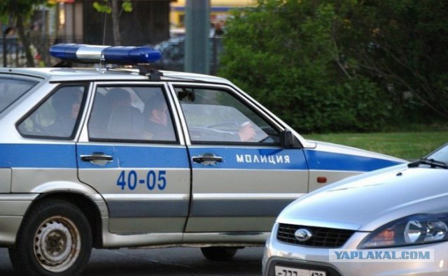 Веселые картинки