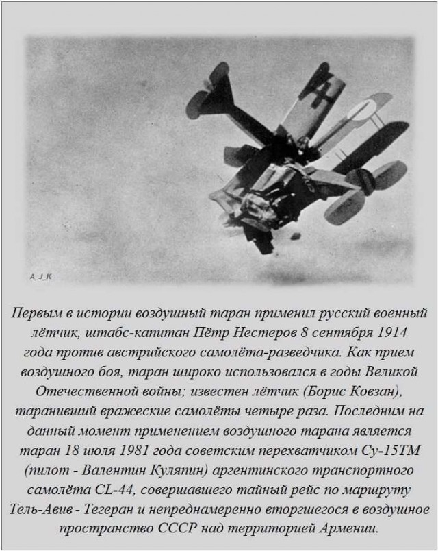 20 фактов обо всем