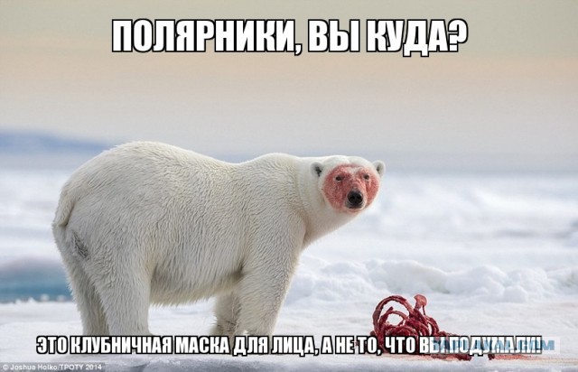 Письмо домой