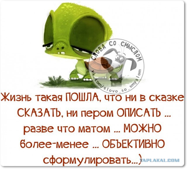 Веселые жизненные наблюдения из Вредного журнала