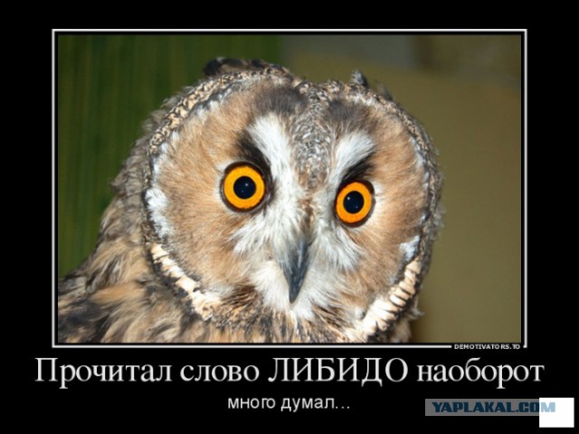 Одноклассница-ботаничка, которая "всем давала"