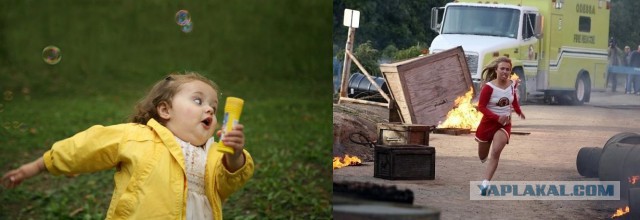 Лягушка внезапно расхотела фоткаться.