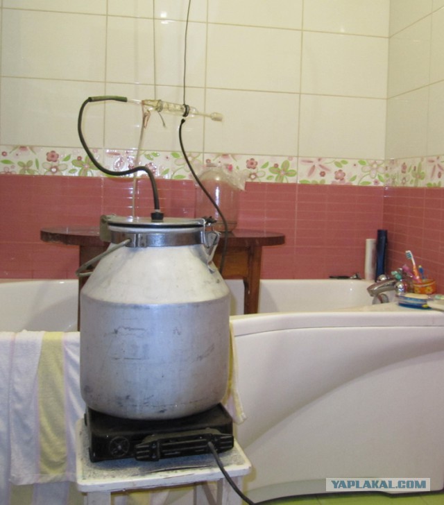 Cэм и его жена Чача.