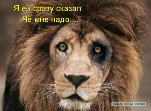 О мужиках на Япе, А я, как оказалось, ипанутая