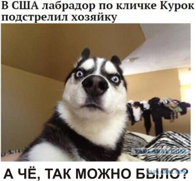 Соцсети и иже с ними