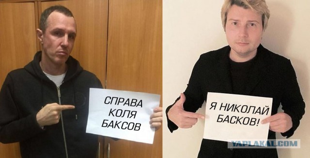 Интернет-пользователи иронично «затроллили» флешмоб звезд шоу-бизнеса