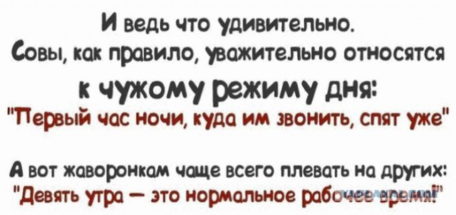 Согрешил я … Мне понравилось!