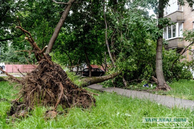 Сильная гроза в Москве и ее последствия