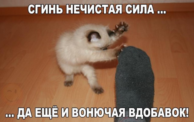 Порция абсурдного юмора на следующую неделю