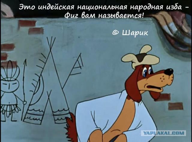 20 фраз из мультфильмов, которые подарили нам незабываемое детство